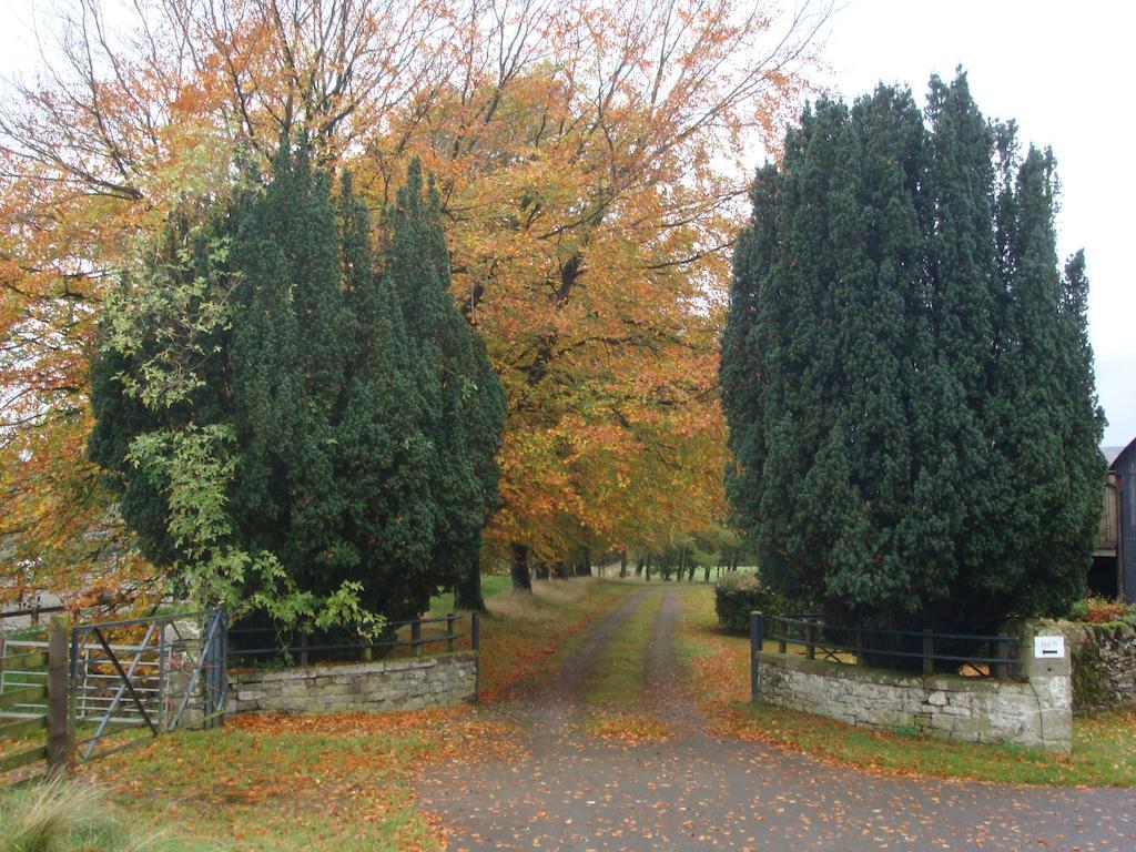Newcastleton Abbotshaw House Farm B&B מראה חיצוני תמונה